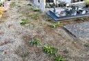 À Potigny, une opération cimetière propre une semaine avant la Toussaint
