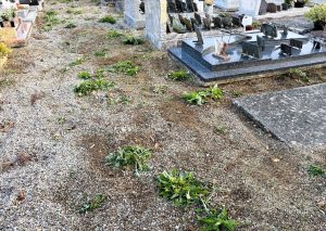 À Potigny, une opération cimetière propre une semaine avant la Toussaint