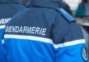 A Saint-Joseph, plus d'un kilo de résine de cannabis caché dans un arbre découvert par... un chien ! 