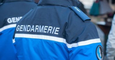 A Saint-Joseph, plus d'un kilo de résine de cannabis caché dans un arbre découvert par... un chien ! 