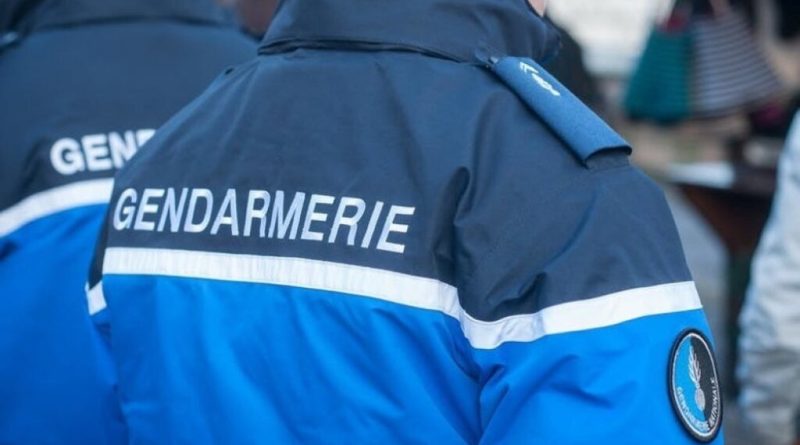 A Saint-Joseph, plus d'un kilo de résine de cannabis caché dans un arbre découvert par... un chien ! 