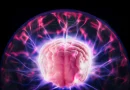 A psychedelic surprise: DMT helps the brain heal after stroke