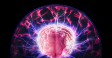 A psychedelic surprise: DMT helps the brain heal after stroke