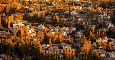 francophonie, Paris, Dakar, Montréal, Brussels, landscape, people, culture, city, Africa