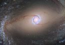 Les anneaux d'étoiles au centre des galaxies révèlent l'histoire de leur hôte