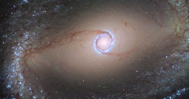 Les anneaux d'étoiles au centre des galaxies révèlent l'histoire de leur hôte