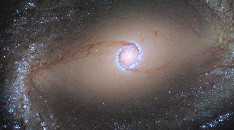 Les anneaux d'étoiles au centre des galaxies révèlent l'histoire de leur hôte