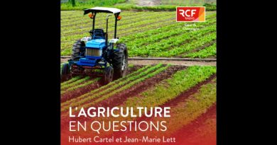 Actualités du 28 mai 2025 : Ce qu'il faut savoir