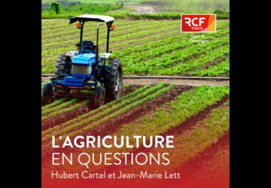 Actualités du 28 mai 2025 : Ce qu'il faut savoir