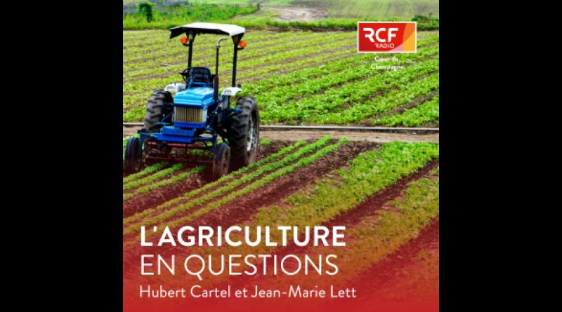 Actualités du 28 mai 2025 : Ce qu'il faut savoir