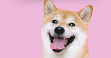 Amoureux des chiens dans les Alpes-Maritimes ? Cet événement est fait pour vous !