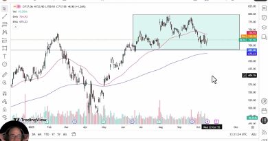 Analyse Métamorphique : Meta Renforce sa Position