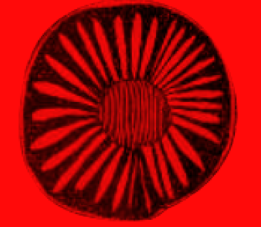 Annonce de la deuxième sélection pour le Prix Médicis 2025