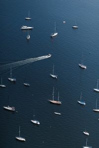 Pays de la Loire, Nantes, Angers, Loire river, castle, vineyard, coast, landscape