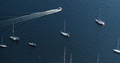 Pays de la Loire, Nantes, Angers, Loire river, castle, vineyard, coast, landscape