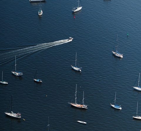 Pays de la Loire, Nantes, Angers, Loire river, castle, vineyard, coast, landscape