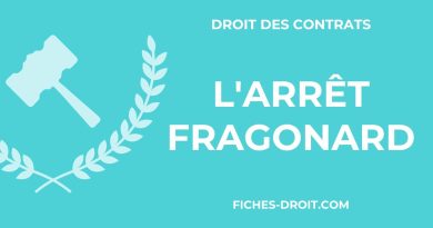 Arrêt Fragonard du 24 mars 1987 : Erreur de fond