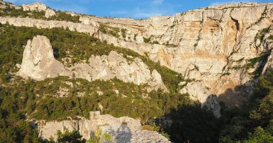 Pays de la Loire, Nantes, Angers, Loire river, castle, vineyard, coast, landscape