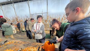 illustration agrandir l