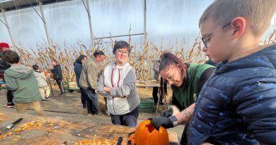 illustration agrandir l