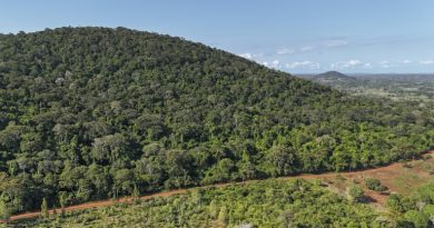Au Kenya, cinq petits villages et une forêt au cœur de la course mondiale aux terres rares