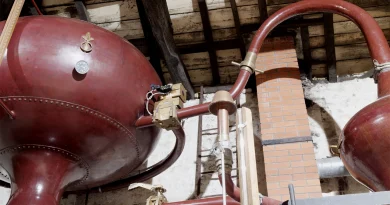 Avec l’autorisation officielle de distiller, Cognac rallume ses alambics pour 3 jours de fête avec le Ban de la Distillation