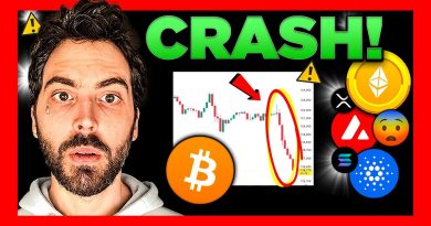 BIGGEST Cryptocurrency Market CRASH!! What Happens Next??