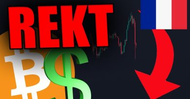 BON... JE ME SUIS FAIT DÉTRUIRE