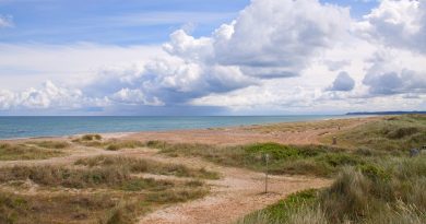 Nouvelle-Aquitaine, Bordeaux, Biarritz, dune, ocean, vineyard, forest, landscape