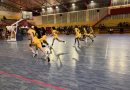 Basket : la Coupe de France lance les demi-finales, le championnat bat son plein