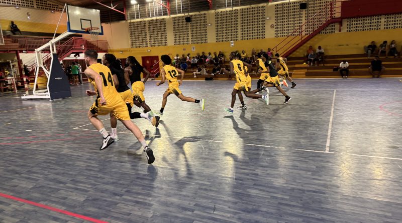 Basket : la Coupe de France lance les demi-finales, le championnat bat son plein