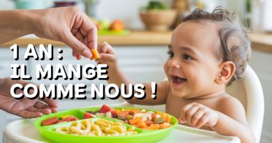 Bébé 1 An : Un Menu Familial Sain Sans Sel Ni Sucre !