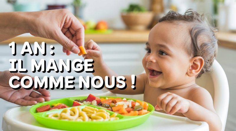 Bébé 1 An : Un Menu Familial Sain Sans Sel Ni Sucre !