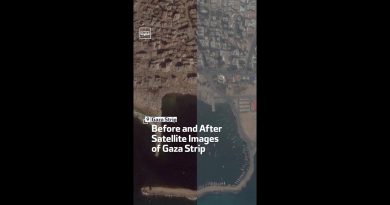 Before and After Satellite Images of Gaza Strip