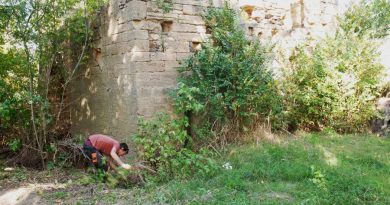 Bessan - Des travaux de cristallisation pour mettre en sécurité les ruines du moulin bladier