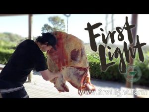 Brisket Wagyu : Découvrez la Poitrine en Détails