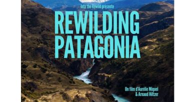 CINÉ : Rewilding Patagonia, un acte de résistance à travers le réensauvagement