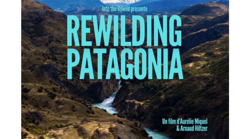 CINÉ : Rewilding Patagonia, un acte de résistance à travers le réensauvagement