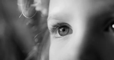 Avis de recherche : méthodes de diffusion et alertes pour 116 000 enfants disparus