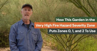 Ce jardin en zone à risque incendie optimise les zones 0, 1 et 2