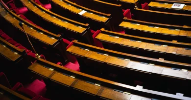 Cette vidéo virale, montrant des jeunes «foutre le bordel» à l’Assemblée nationale, a été générée par IA