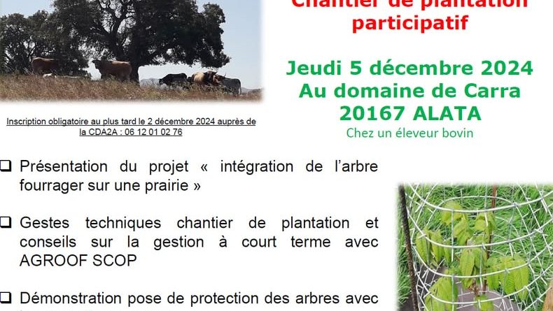 Chambre d'Agriculture Corse du Sud