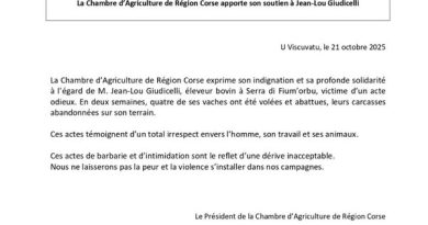 Chambre d'Agriculture de la Région Corse : enjeux et initiatives pour le secteur agricole