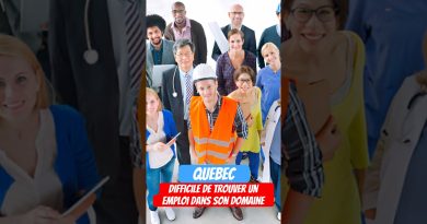 Chômage au Canada : taux stable à 6,6-6,7 % en 2024-2025