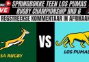 Commentaire en direct : Springboks vs Los Pumas 2025