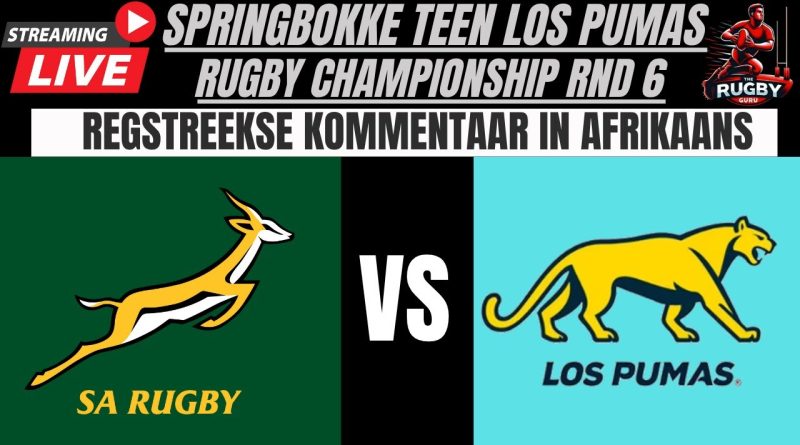 Commentaire en direct : Springboks vs Los Pumas 2025
