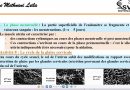 🔍 Comprendre le cycle menstruel : guide étape par étape