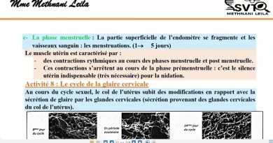 🔍 Comprendre le cycle menstruel : guide étape par étape