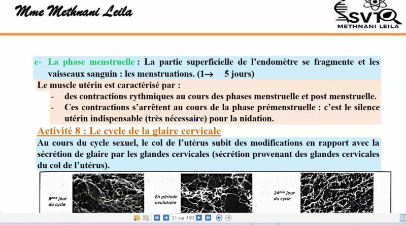 🔍 Comprendre le cycle menstruel : guide étape par étape