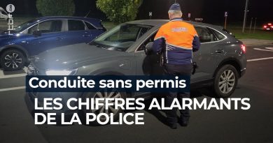 Conduite sans permis : des statistiques inquiétantes révélées